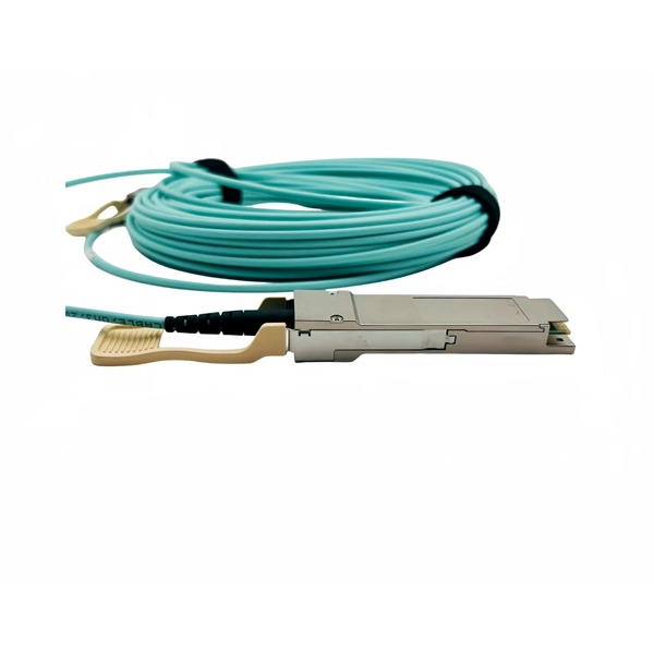 Switches directly connected to the network
