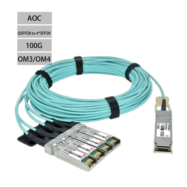 Microwave-resistant fiber optic temperature sensor